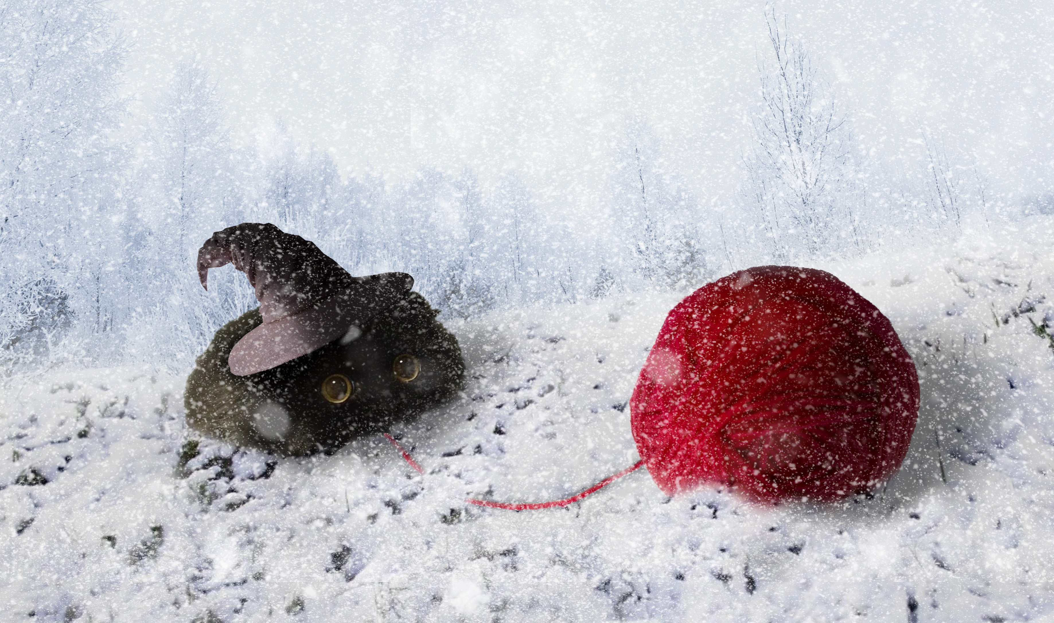 kitten with wizard hat chasing red ball of yarn in snow